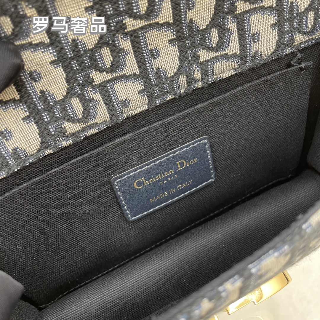 Dior Luxury Monogram Canvas Shoulder Bag with Gold Hardware and Chain Strap