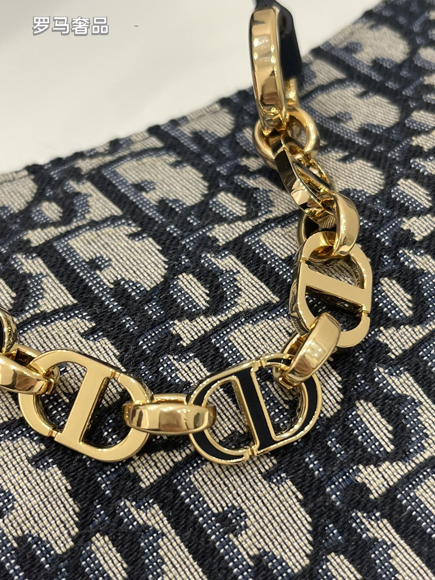 Dior Elegant Monogram Canvas Crescent Shoulder Bag with Gold Chain