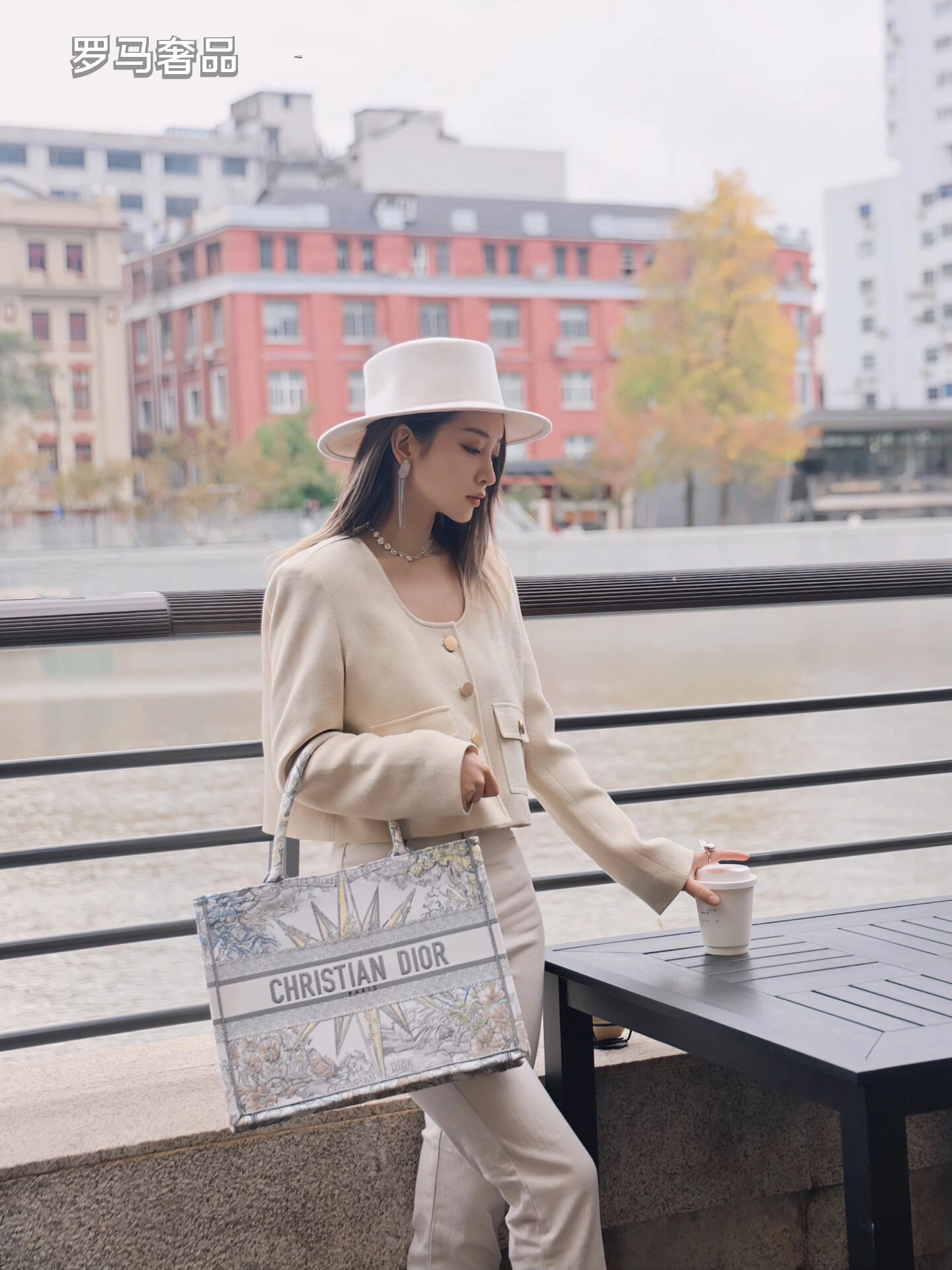 Dior Luxury Embroidered Canvas Tote Bag with Constellation Star Print