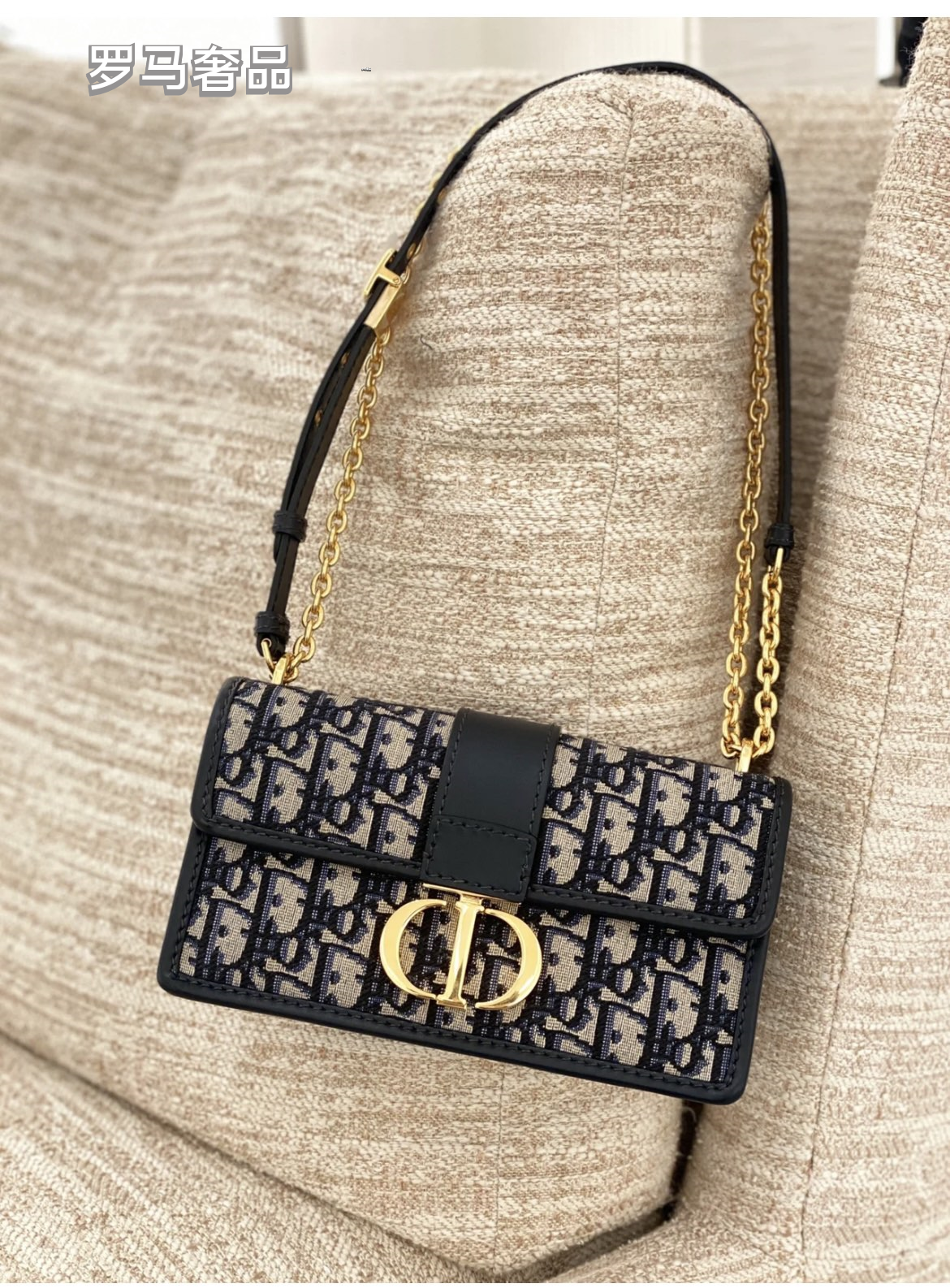 Dior Luxury Monogram Canvas Shoulder Bag with Gold Hardware and Chain Strap