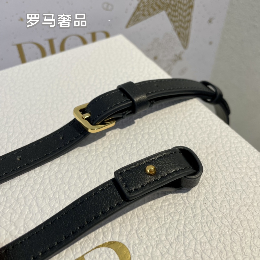 Dior Luxury Monogram Canvas Vanity Case Handbag with Gold Hardware