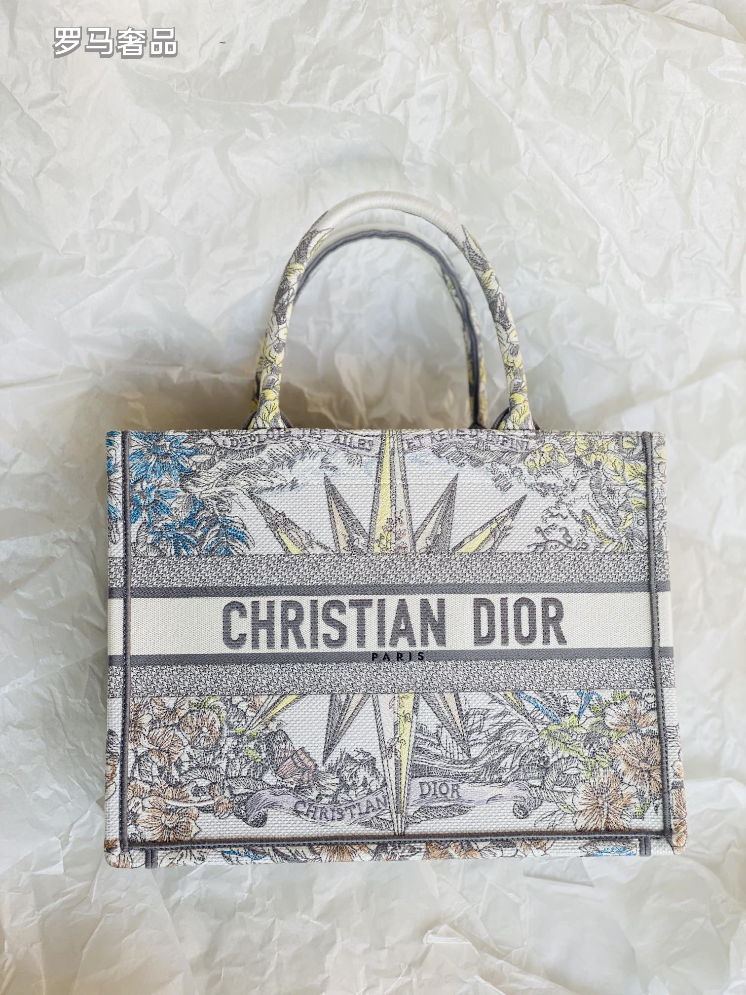 Dior Luxury Embroidered Canvas Tote Bag with Constellation Star Print