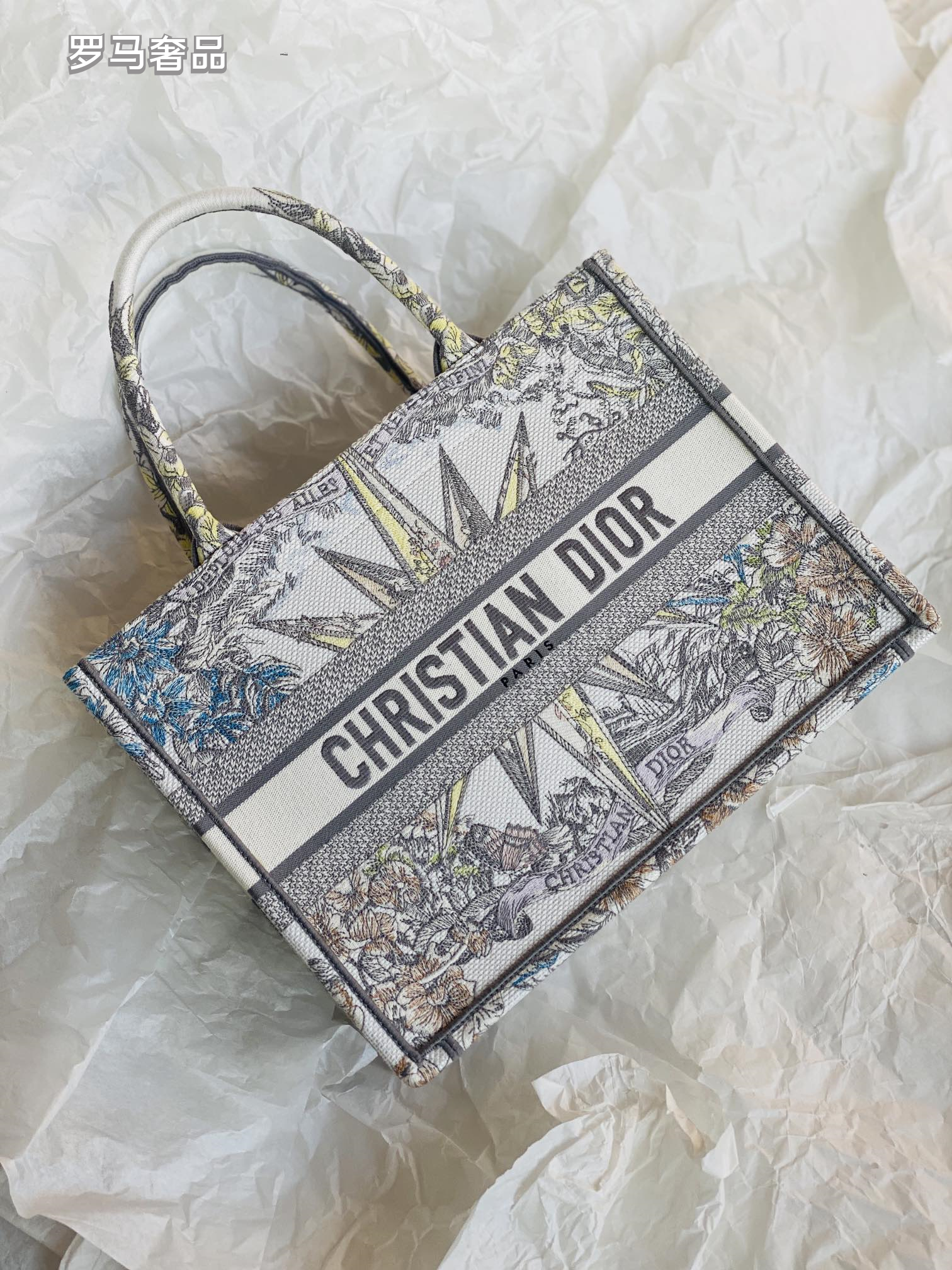 Dior Luxury Embroidered Canvas Tote Bag with Constellation Star Print