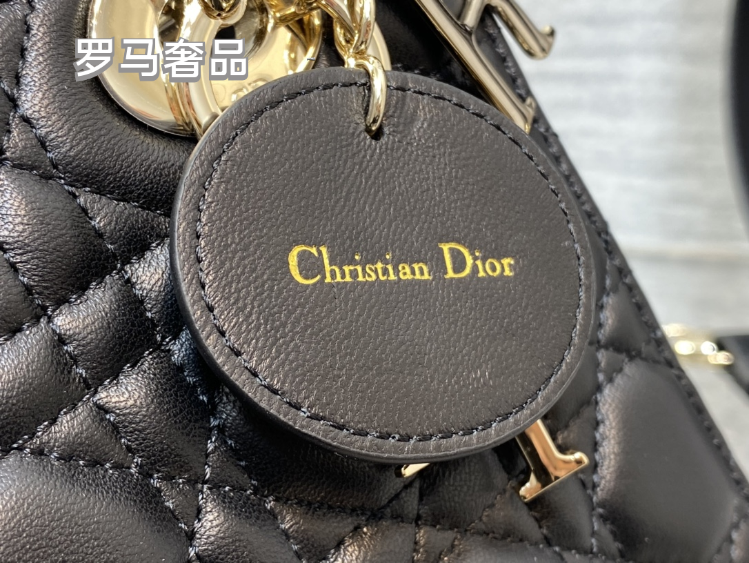Dior Luxury Black Quilted Leather Top Handle Bag with Shoulder Strap