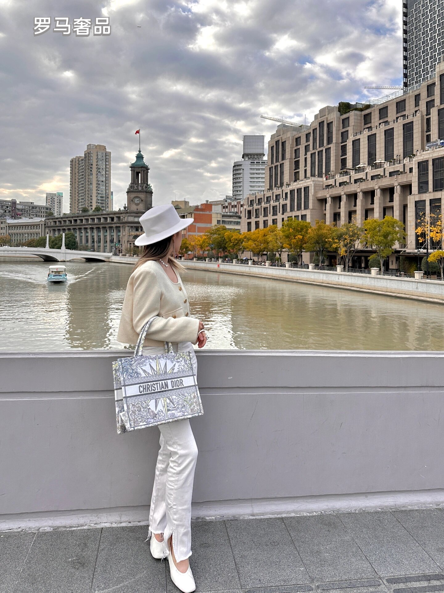 Dior Luxury Embroidered Canvas Tote Bag with Constellation Star Print