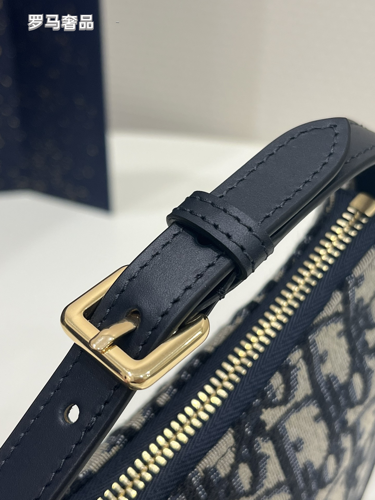 Dior Elegant Monogram Canvas Crescent Shoulder Bag with Gold Chain