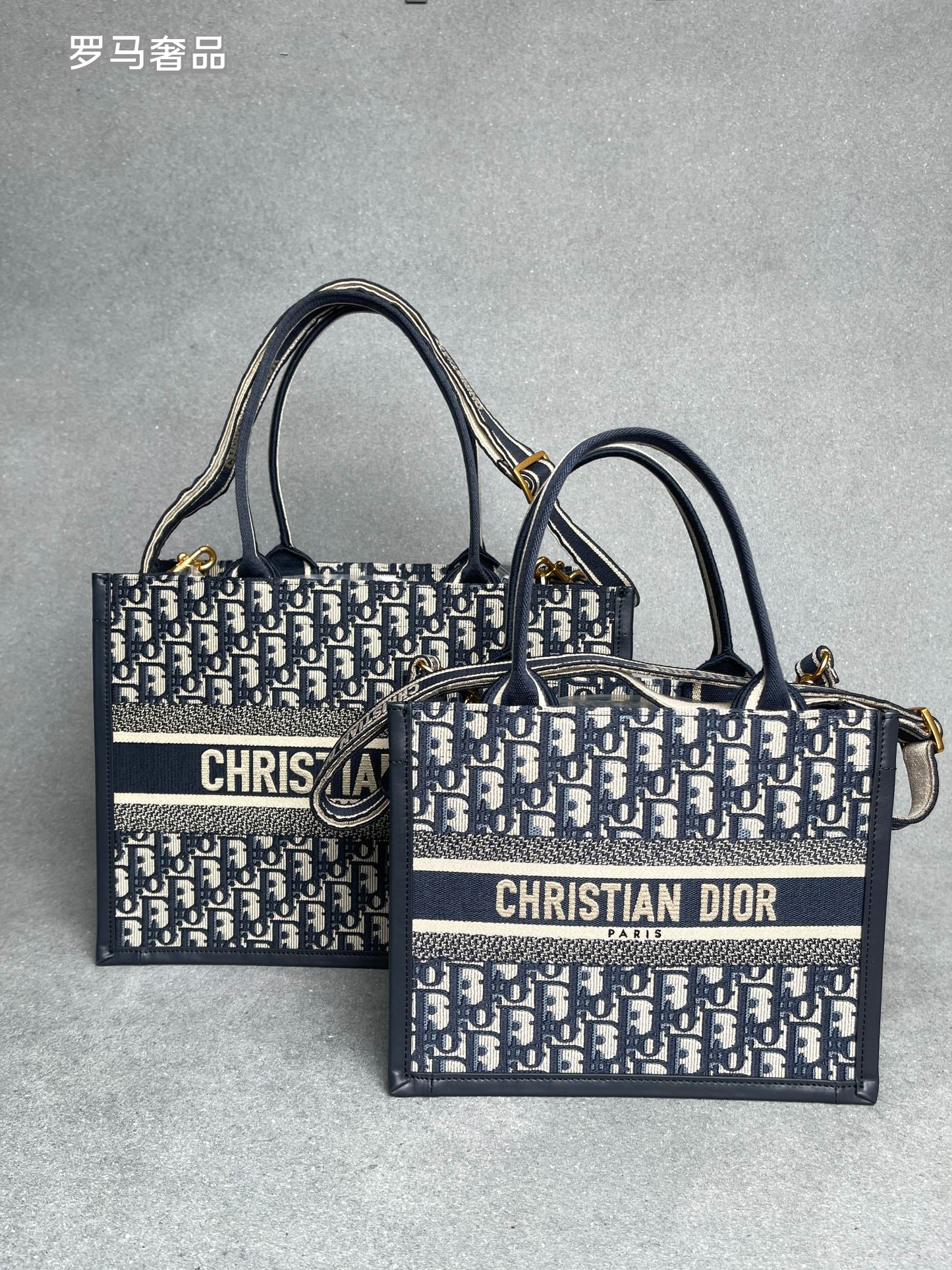 Christian Dior Book Tote - Blue Dior Oblique Embroidery
