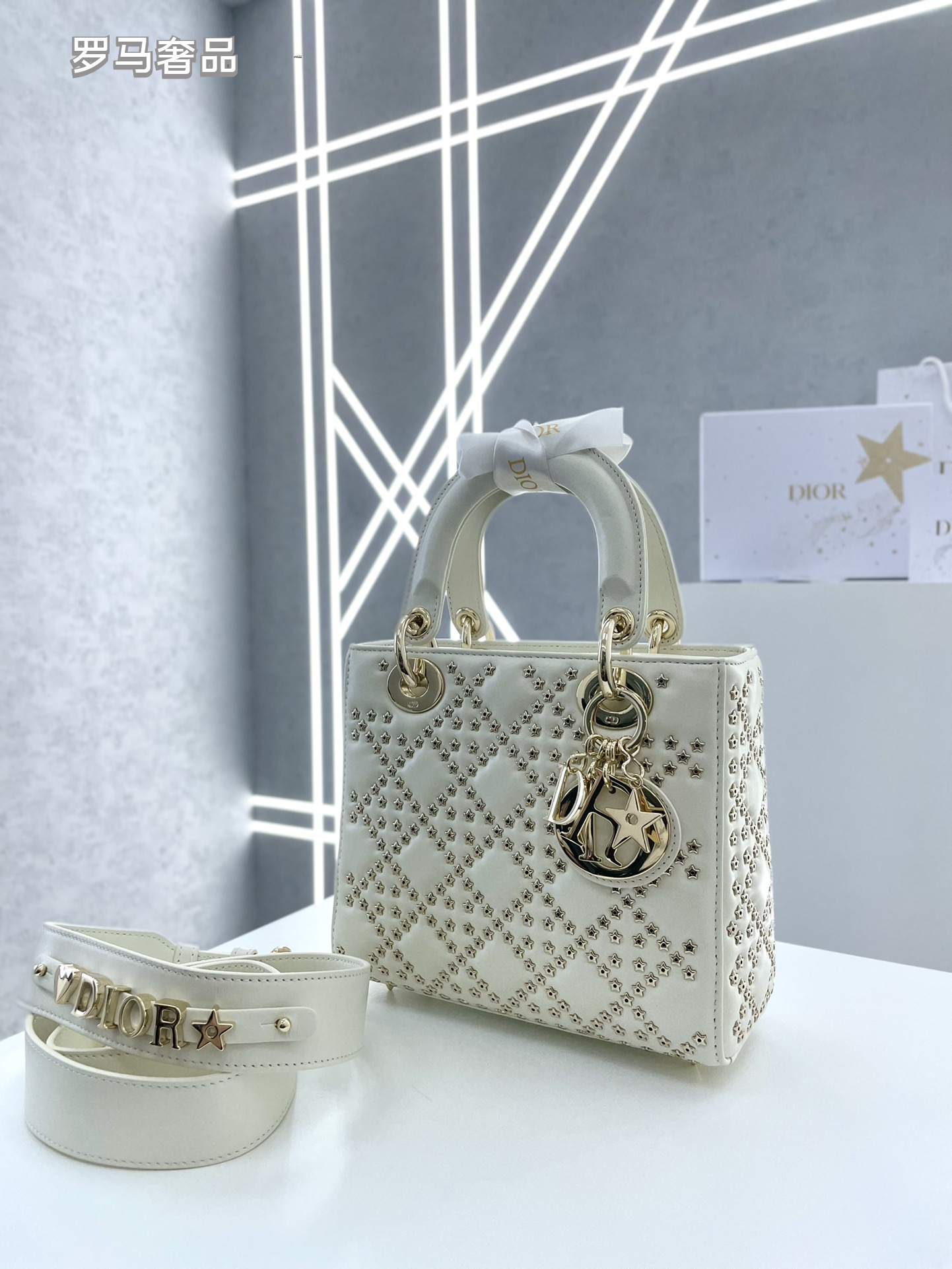 Dior Luxury White Quilted Leather Top-Handle Shoulder Bag for Women