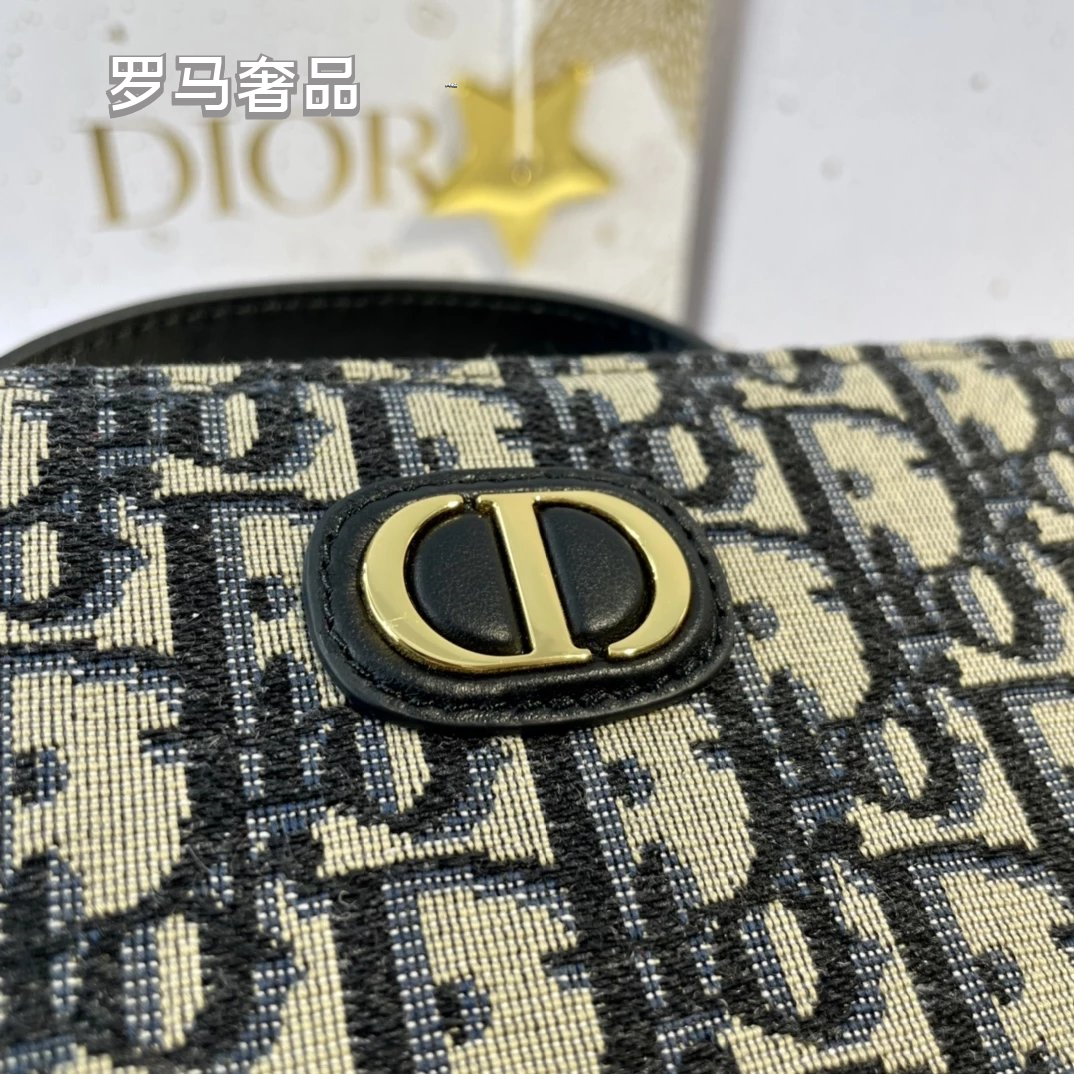 Dior Luxury Quilted Leather Vanity Case Travel Cosmetic Makeup Bag